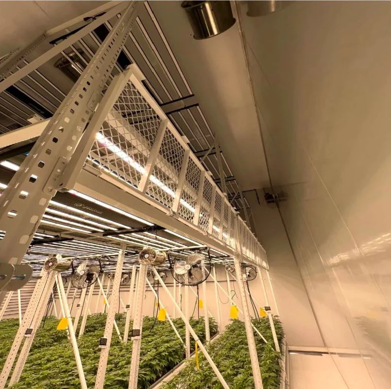 Indoor grow room with Insulated Metal Panel (IMP) ceiling and lighting