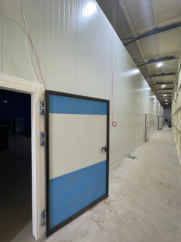 Insulated cooler door in a cold room corridor